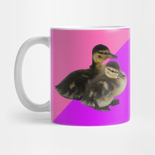 Baby Ducks on Pink Raspberry and Purple Sorbet Mug